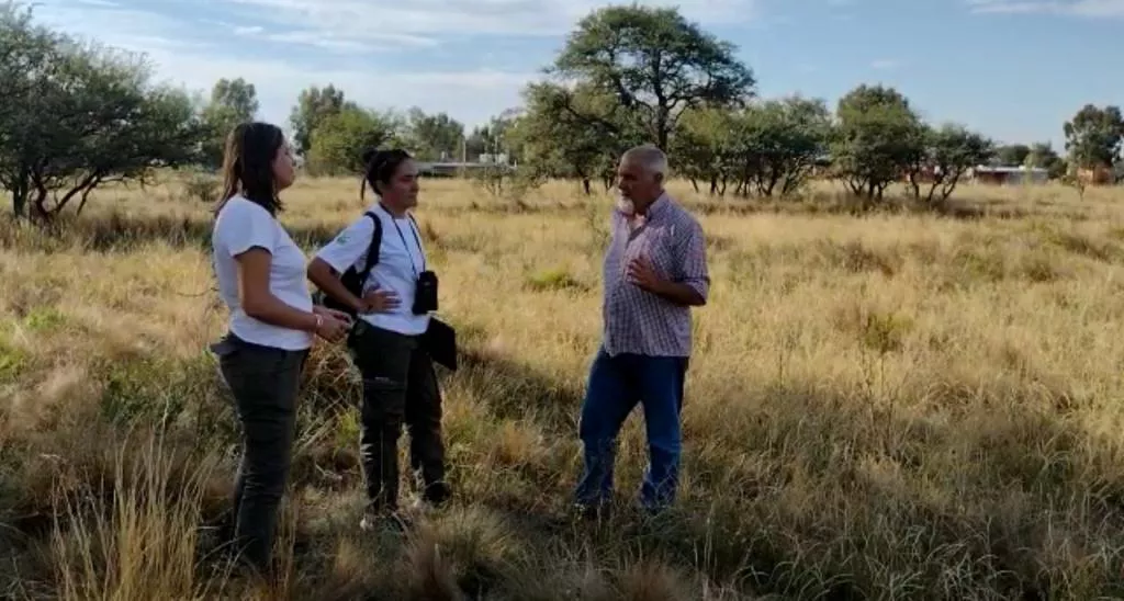 87068_whatsapp-image-2023-03-17-at-13.10.34--1-