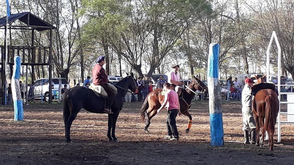 61037190_2464002493611408_4733405859747463168_n