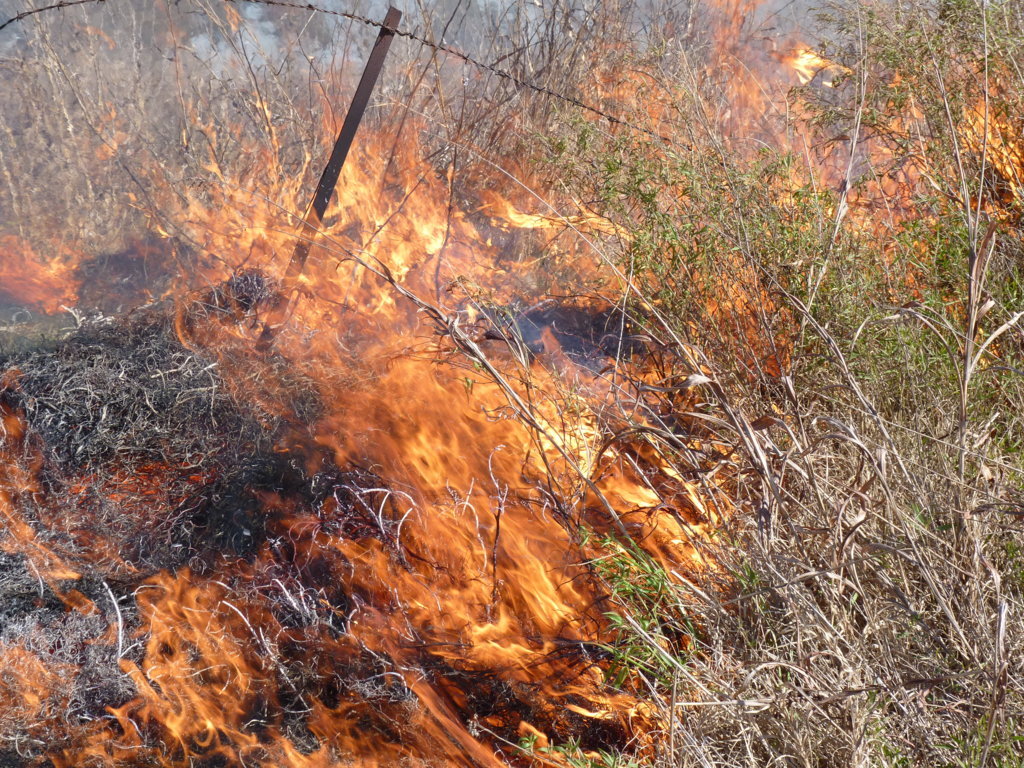 P1230542 (FILEminimizer)