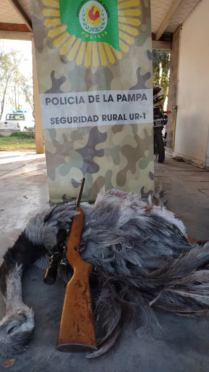 128817_83af0c00-e849-4909-bbd3-4528d8ae81f7