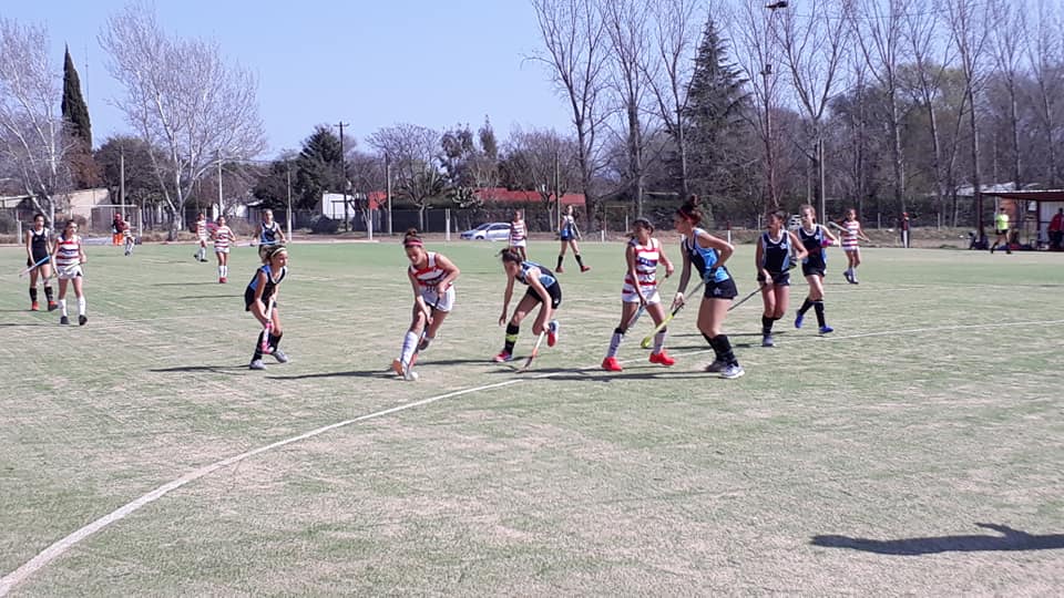 69995908_2656167157728273_8124952142520778752_n