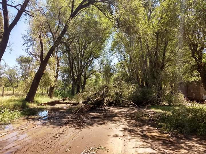 FB_IMG_1546189637747