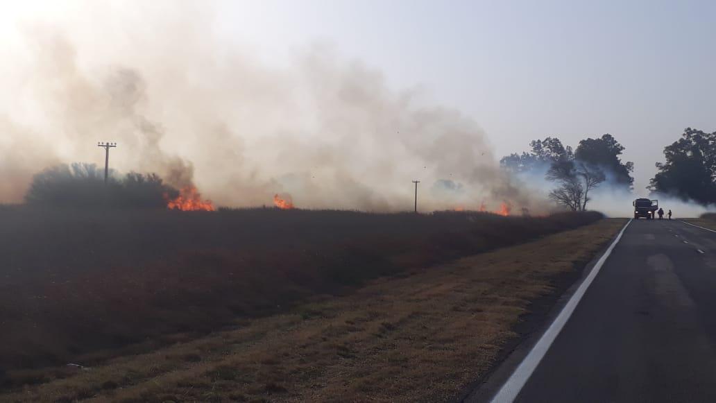 067e3423-66bd-4569-a14a-124818f43499