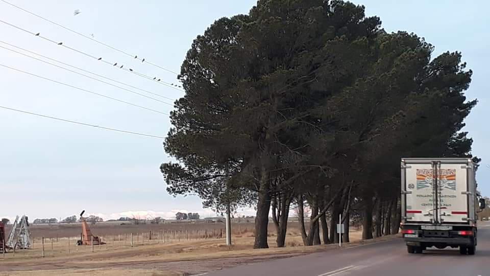 FB_IMG_1593522203857