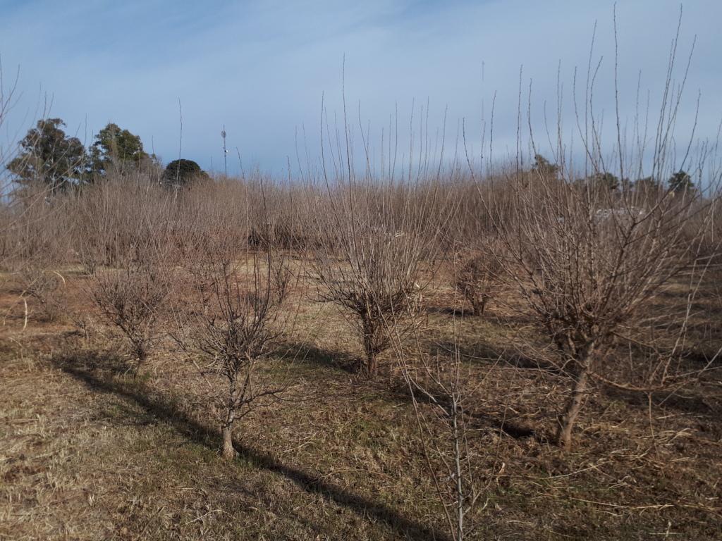 20200703_122110 (FILEminimizer)