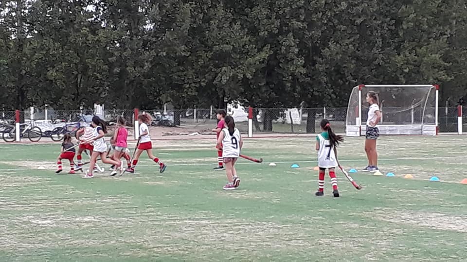 53245246_2338446276167031_4643834926674739200_n