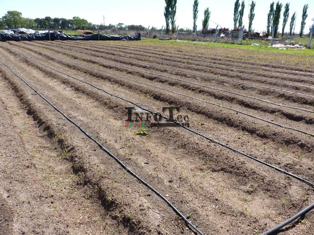 P1280340 (FILEminimizer)