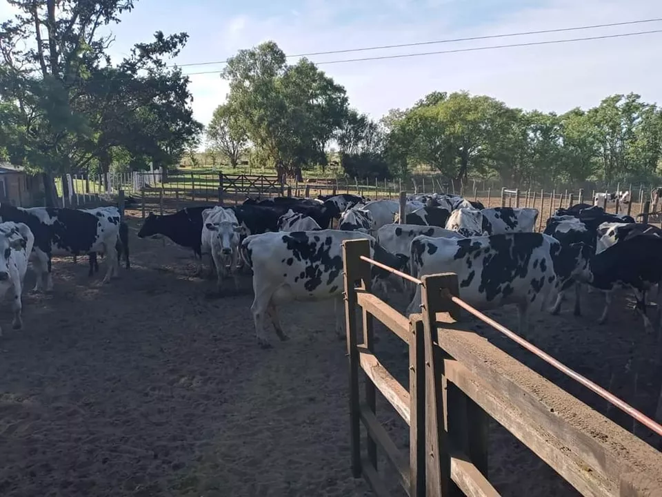 329252626_1129549244394809_7256639621159036007_n