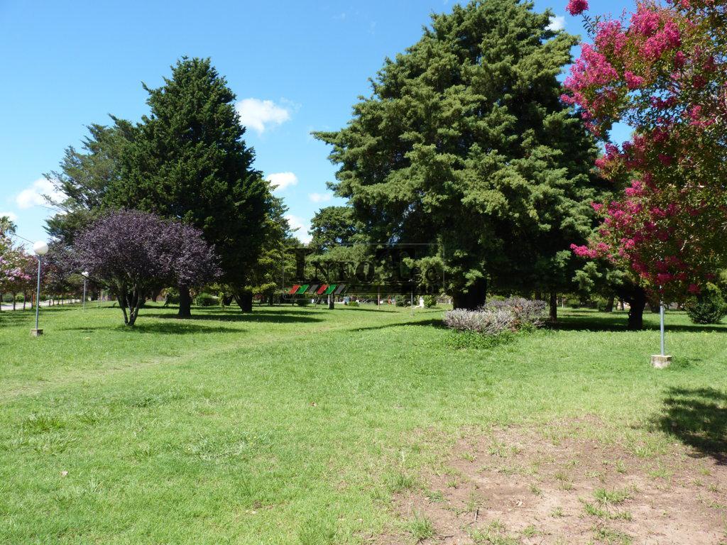 P1320979 (FILEminimizer)