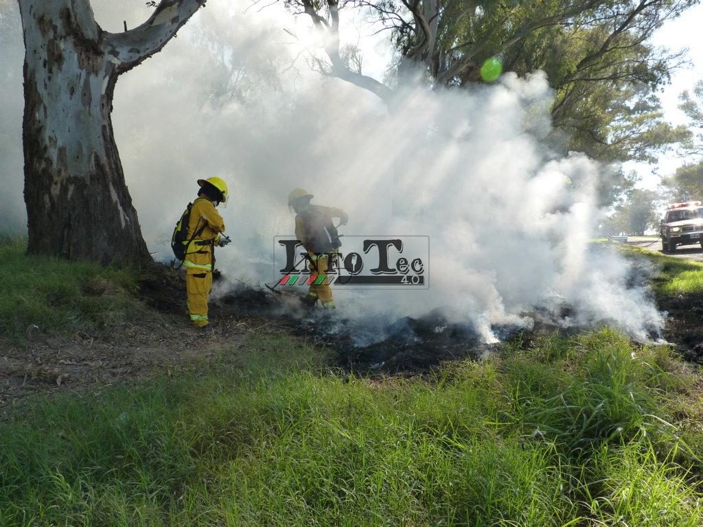 P1200185 (FILEminimizer)