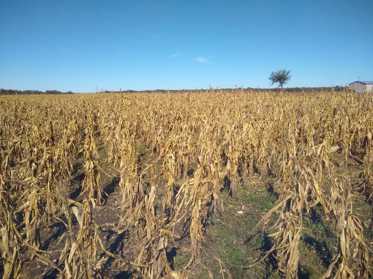 be1a0bdd-f6a7-4fe5-85f9-329f032cb6d7