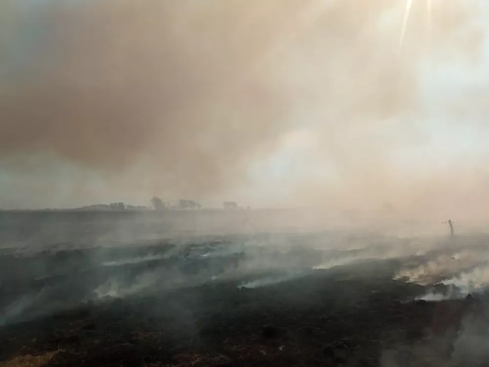 9252051f-5d73-4edb-b9cf-3c94bcf0a99a