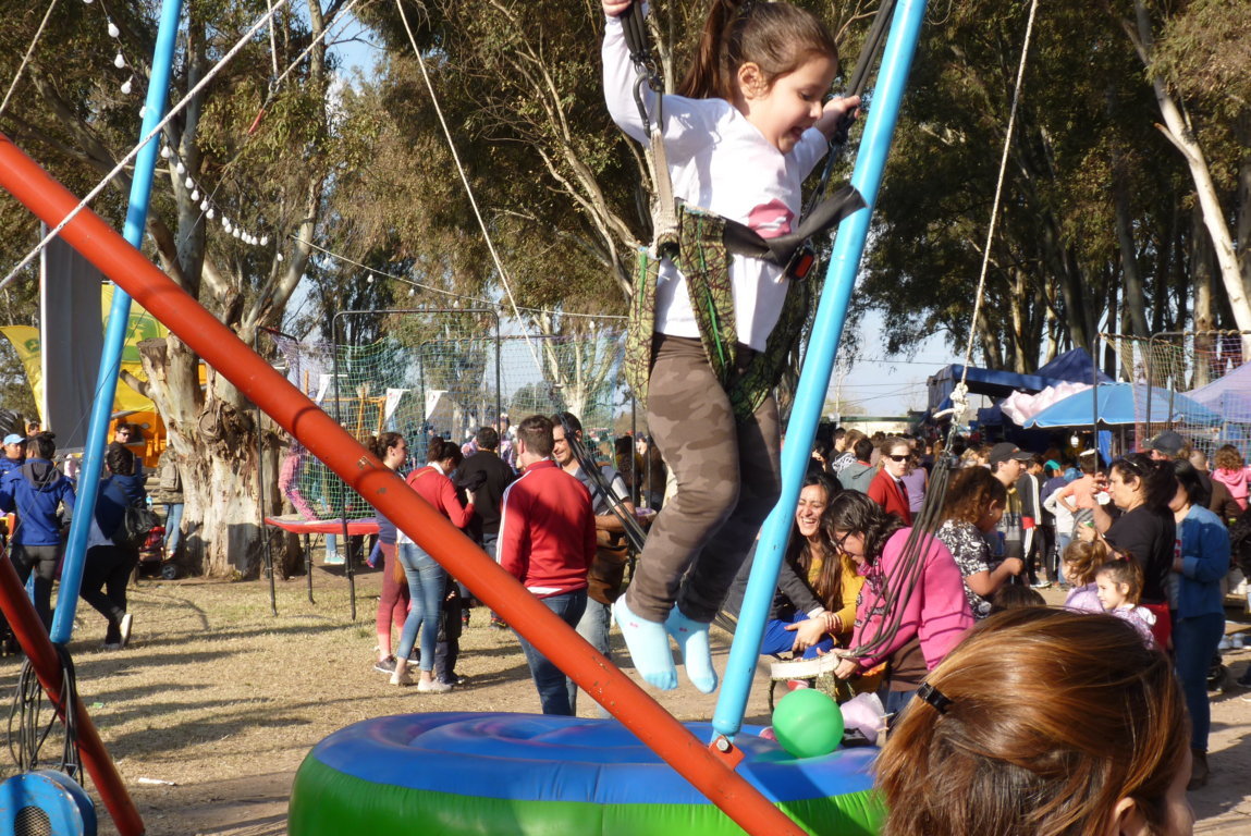 P1420045 (FILEminimizer)