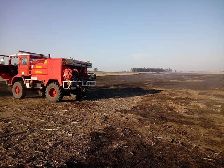 FB_IMG_1569585876678