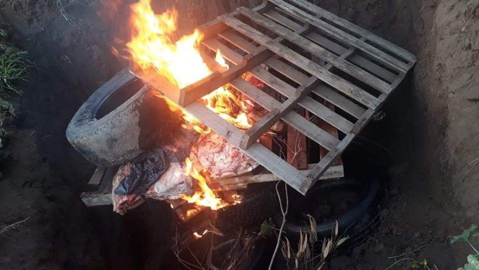 107824176_3952443588163450_4190286416934272915_o