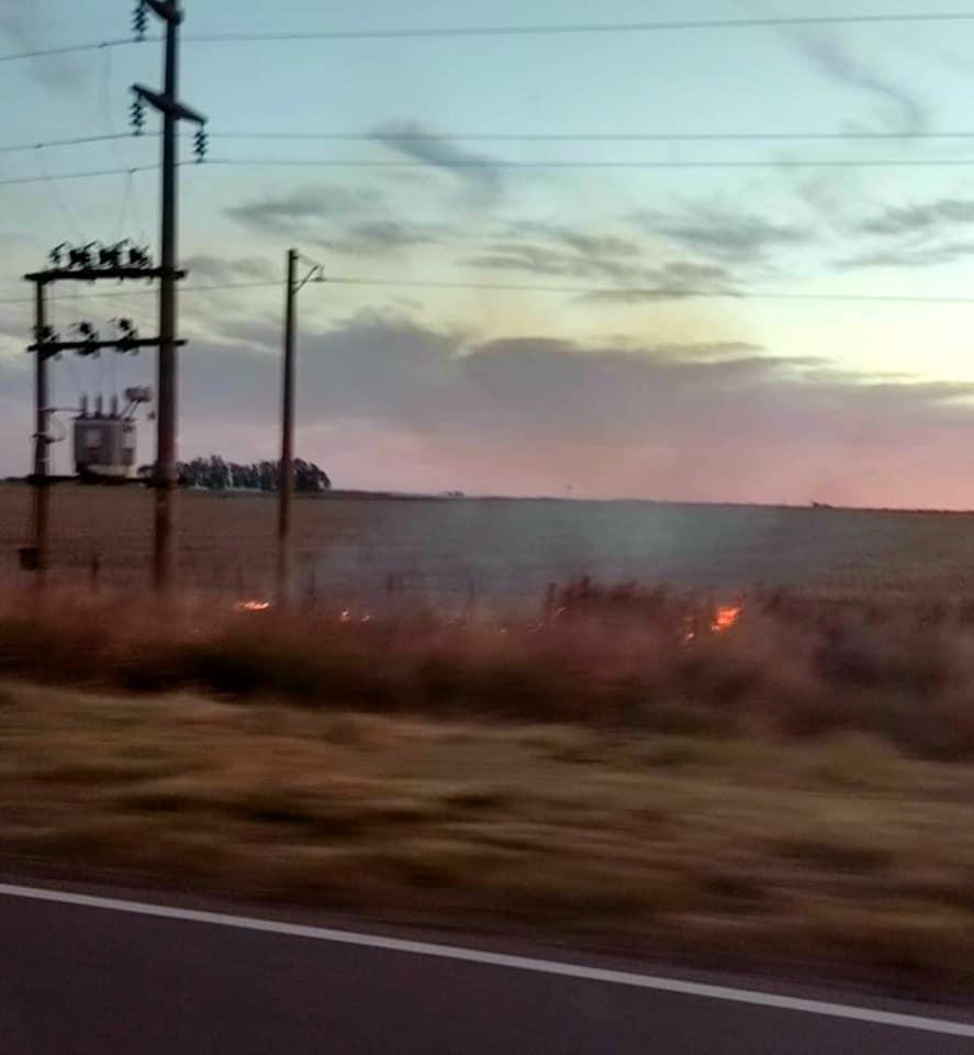 Incendio pastizales Luiggi 1