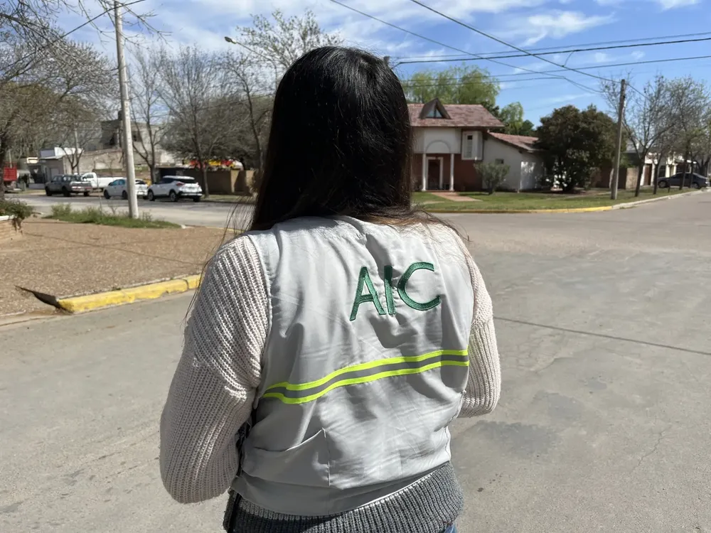 AIC REALICO3 (FILEminimizer)