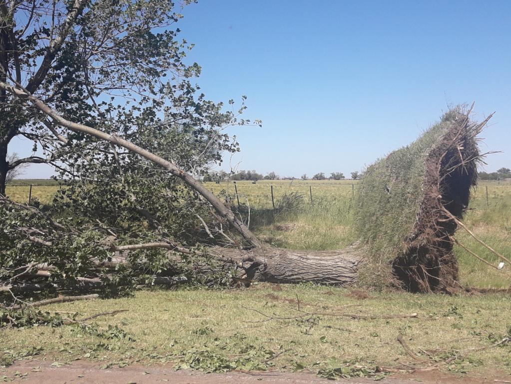 TORMENTA EN LAGOS 077 (FILEminimizer)