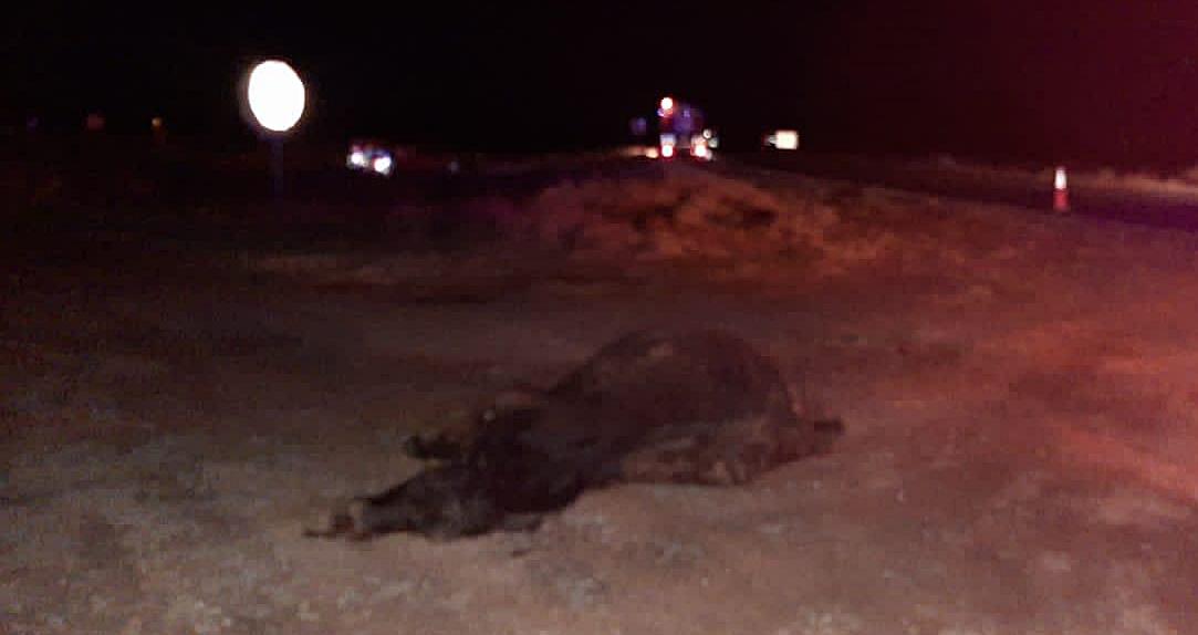 14a6fc20-8337-4cf2-9e07-afe1d5964394