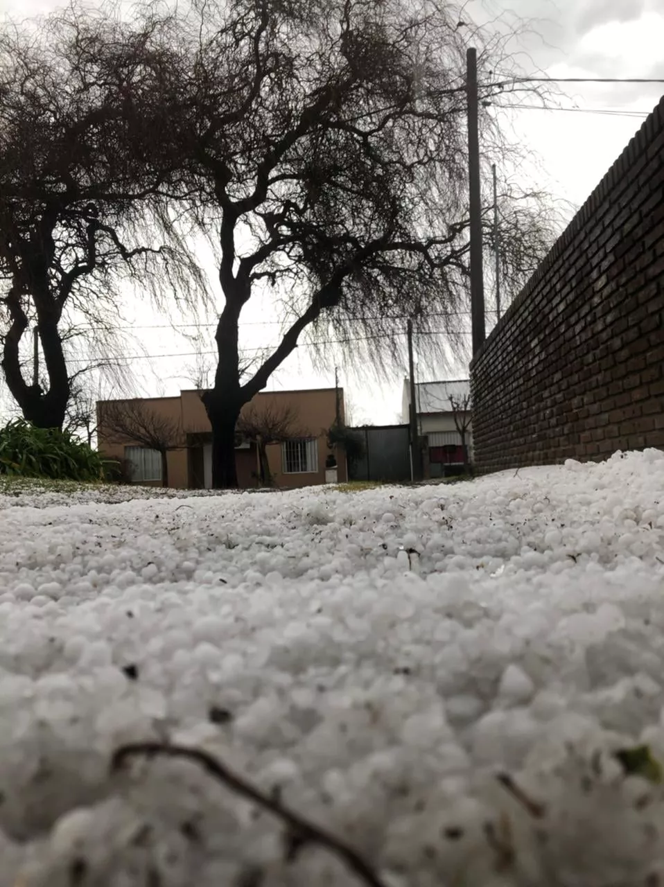 229775577_10159951430633896_7186251652363080320_n