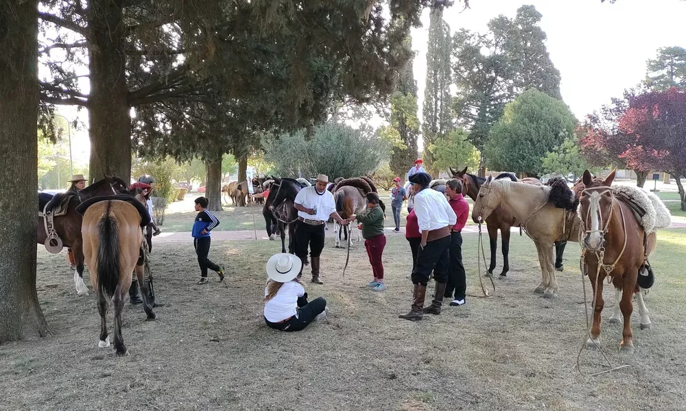 quetre 3 (FILEminimizer)