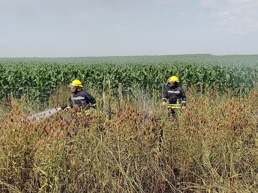 IMG_20211231_105141378 (FILEminimizer)