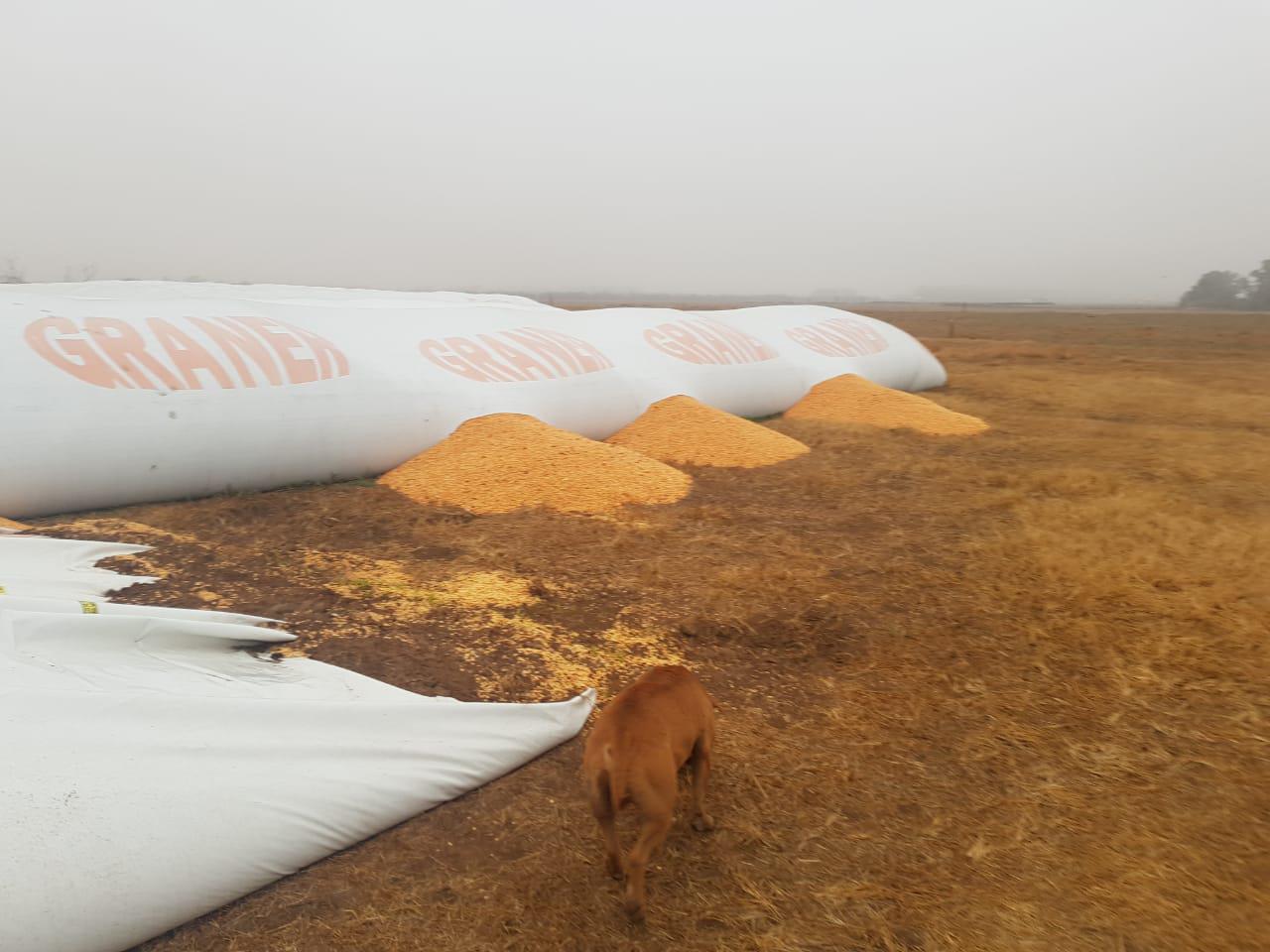 fa8cd8c1-da7e-4b3b-9bee-7e5170e10125