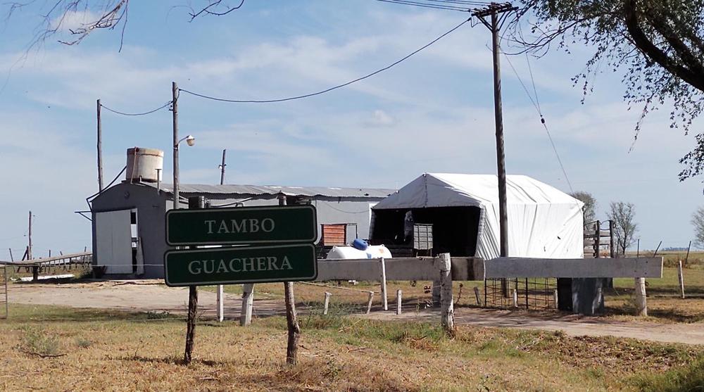 9 tambo colegio agropecuario (FILEminimizer)