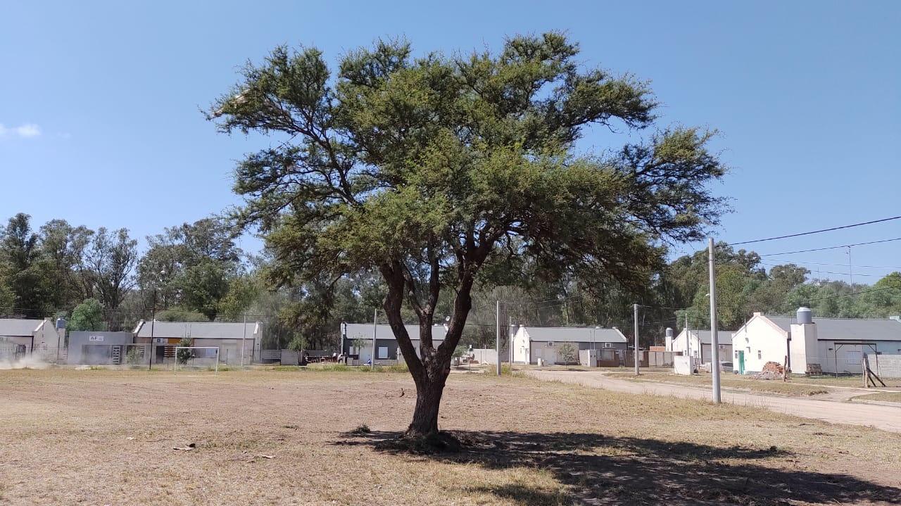 1e2ad828-73f3-4546-8b54-03739e874ad5