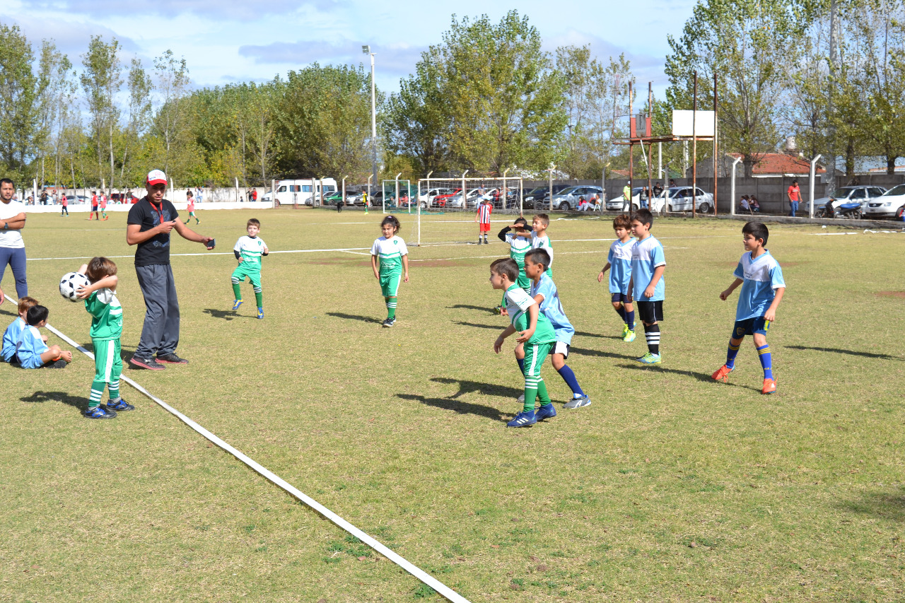 8f725b6c-5be1-4da1-a62b-ecd5c64f0fc4