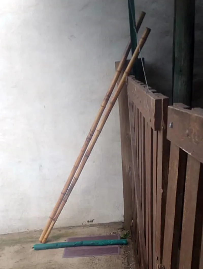 185aa65c-f17f-4787-9dde-8332c6a2f749