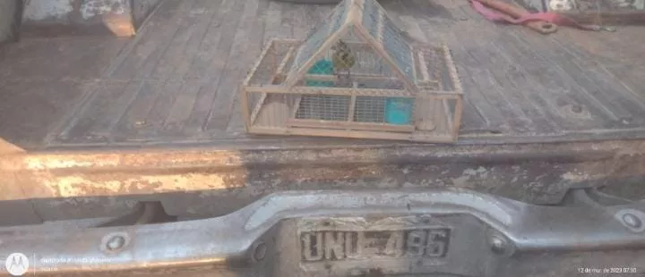 27703_whatsapp-image-2023-03-13-at-12.32.12