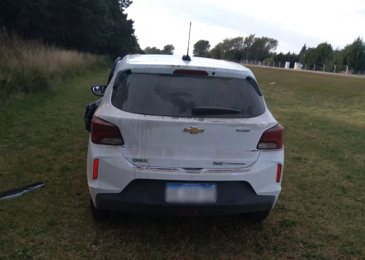 6d175535-58ae-4ebf-b446-df25093b4742