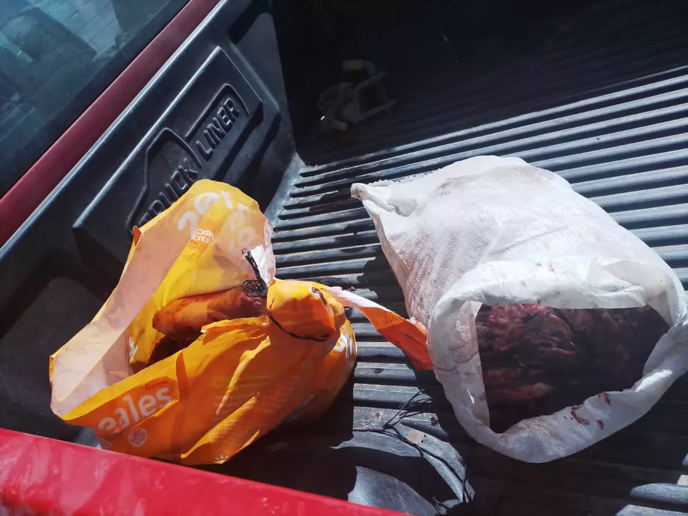 138642_whatsapp-image-2022-12-09-at-14.03.49--1-