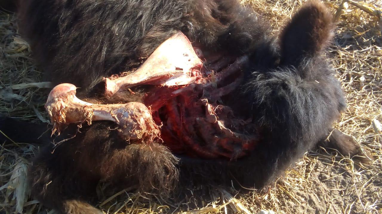 90c6c281-514b-40d8-811e-d786e0abd450