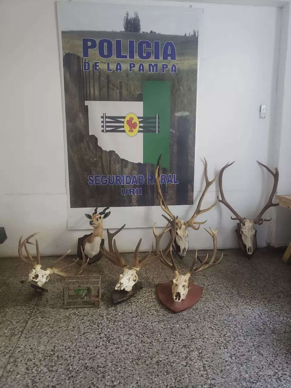 WhatsApp-Image-2021-12-06-at-21.48.37