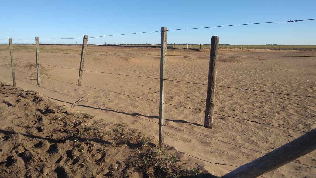 24500774-3221-4d07-a0cc-31b1da8c3d69