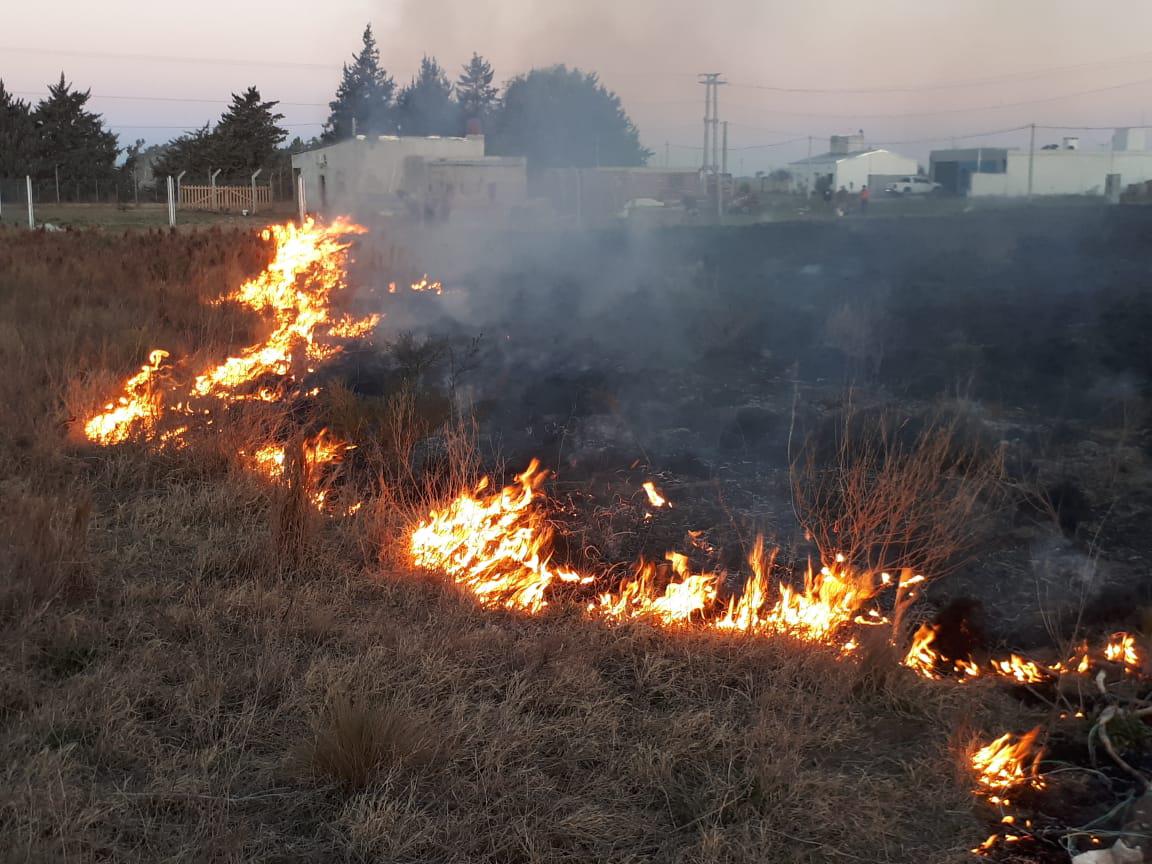 53f74a5d-0f5e-4ba7-866f-a3898f72e9b0