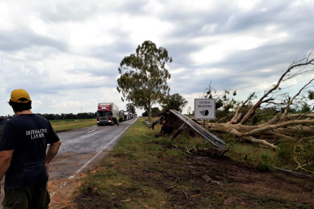 vientoeucalipto2019-106