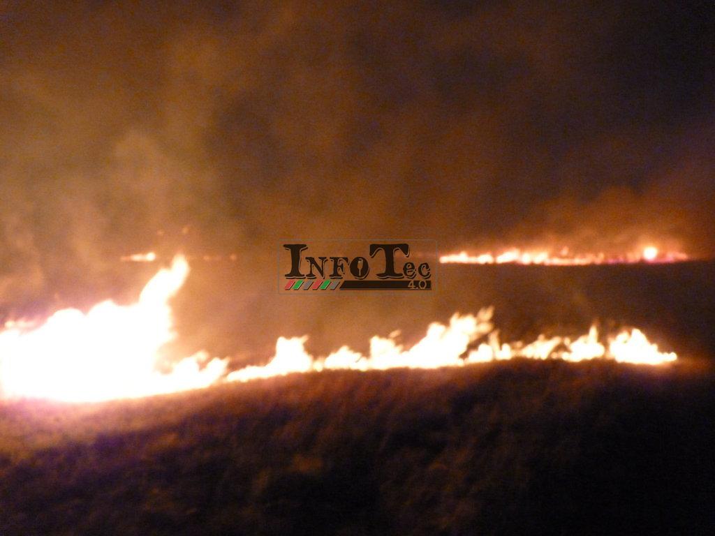 P1250721 (FILEminimizer)