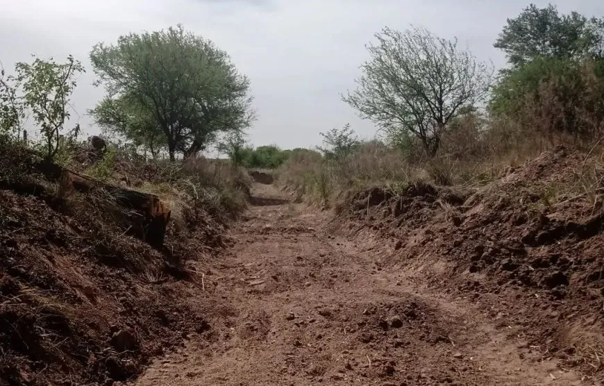 140654_319806912_484913250446526_6475154686973287014_n-870x556