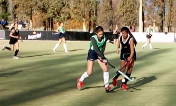 65305391_2523485017663155_6131464461019512832_n