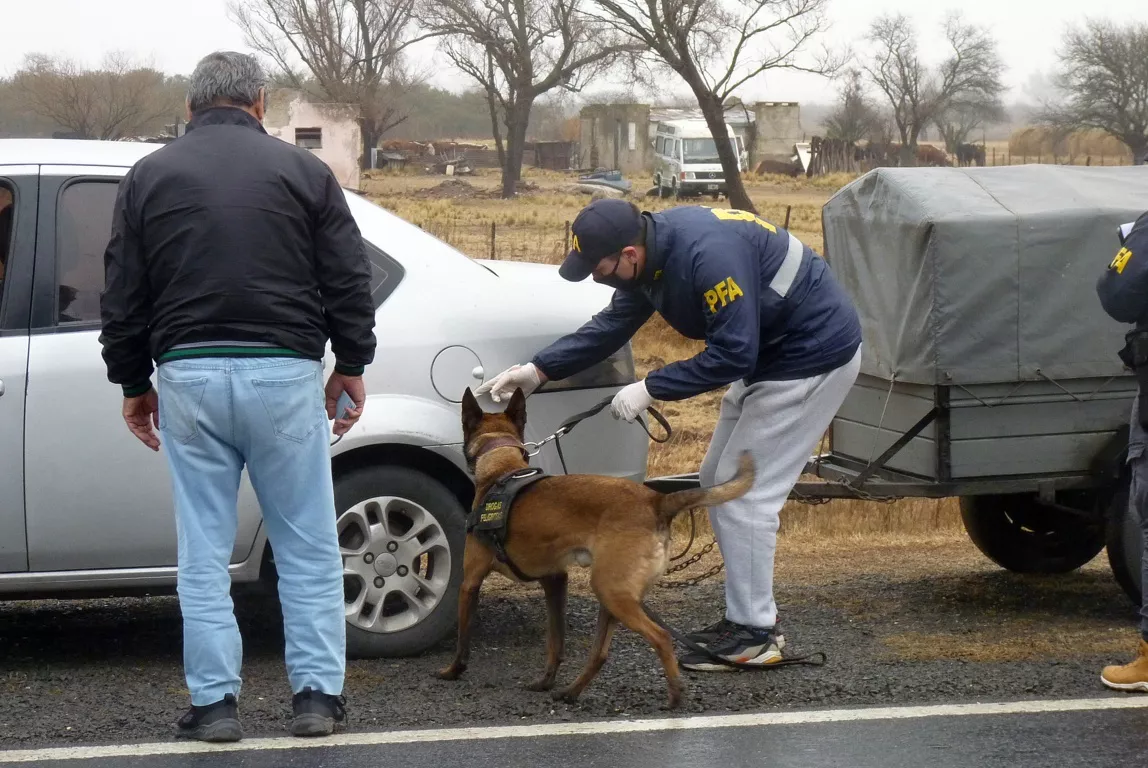 federal 4 (FILEminimizer)