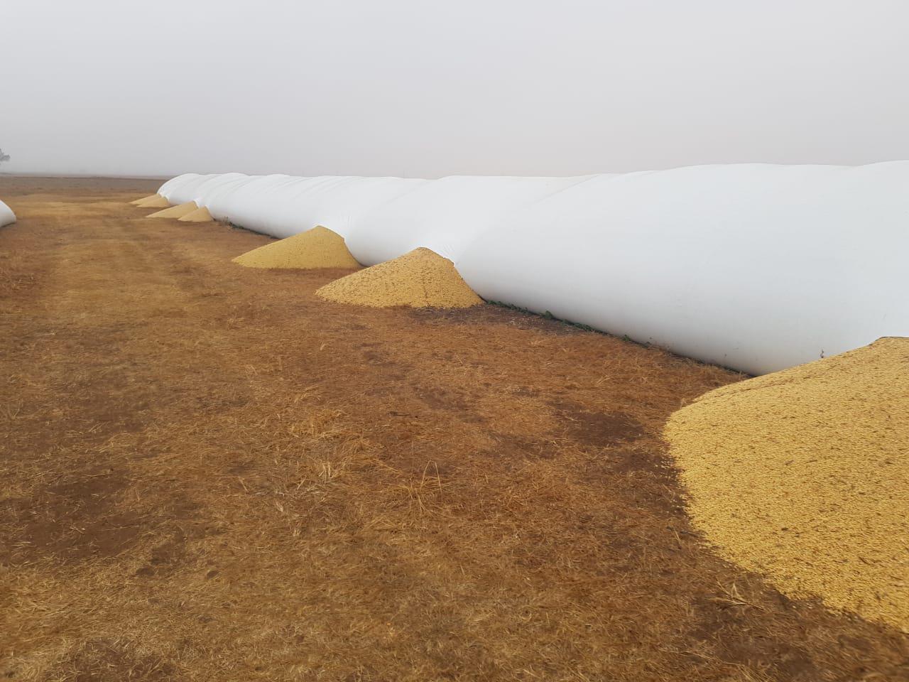 455d63ad-4dfe-453c-87cd-9b5f99502619