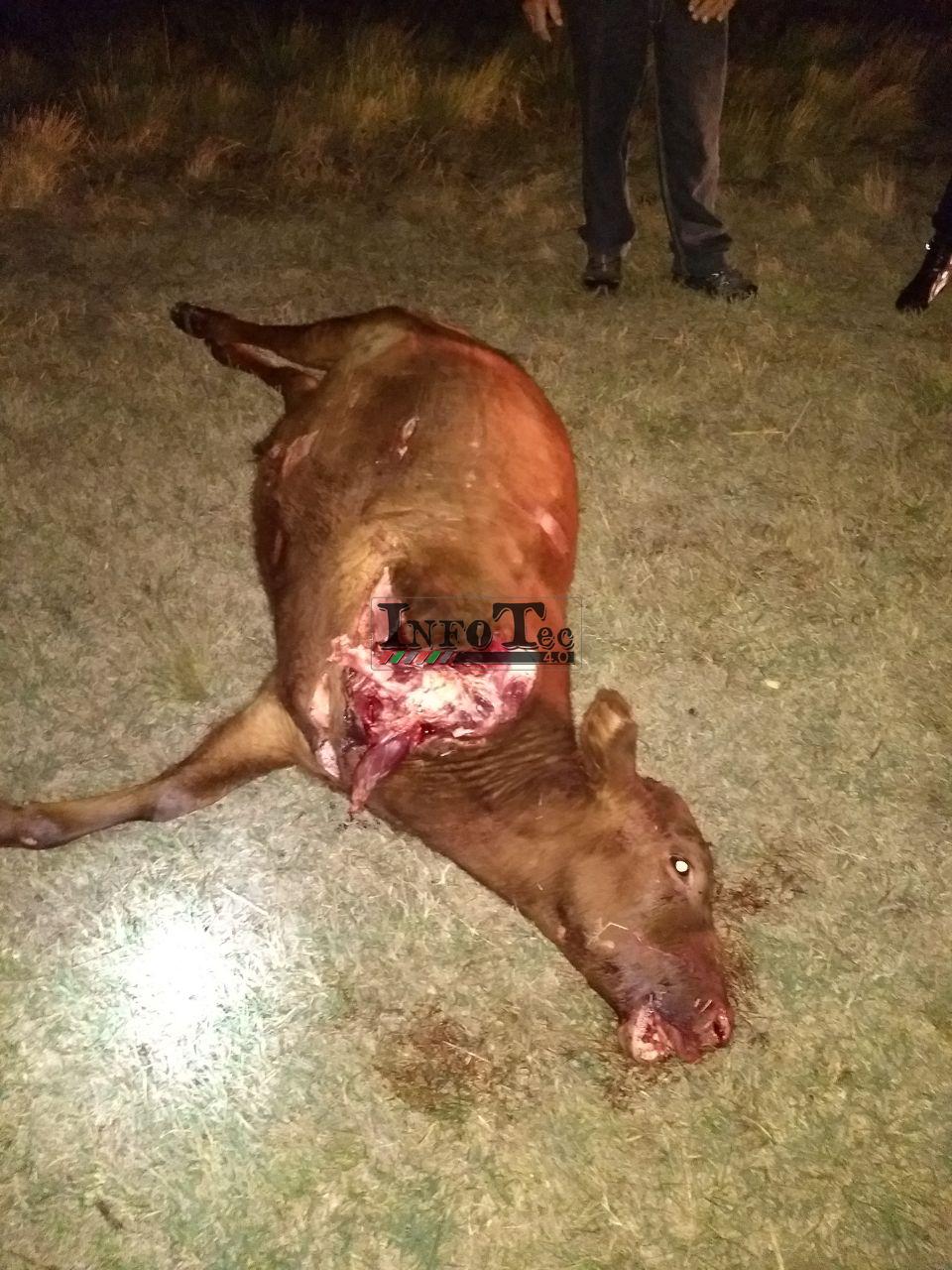 f92aea85-0d00-42dc-8d1e-3fb8aca536b9