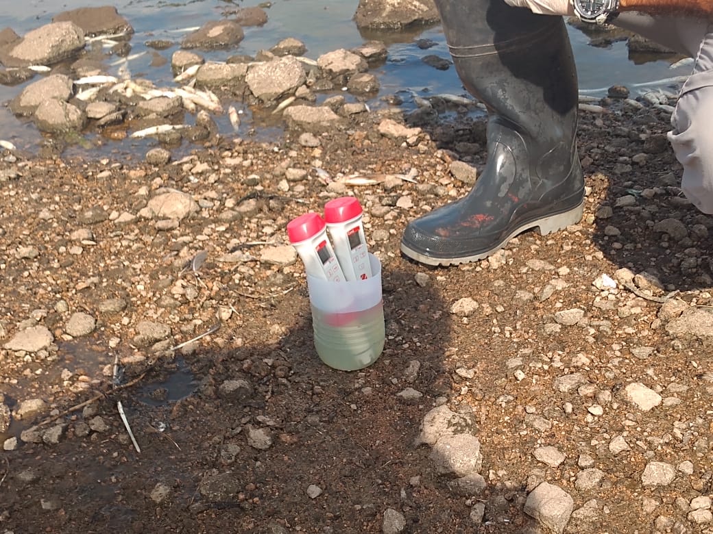 ce7b0eb9-ddc6-42e5-89ae-6229410d6f52