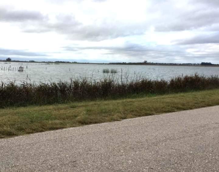 FB_IMG_1558958644171