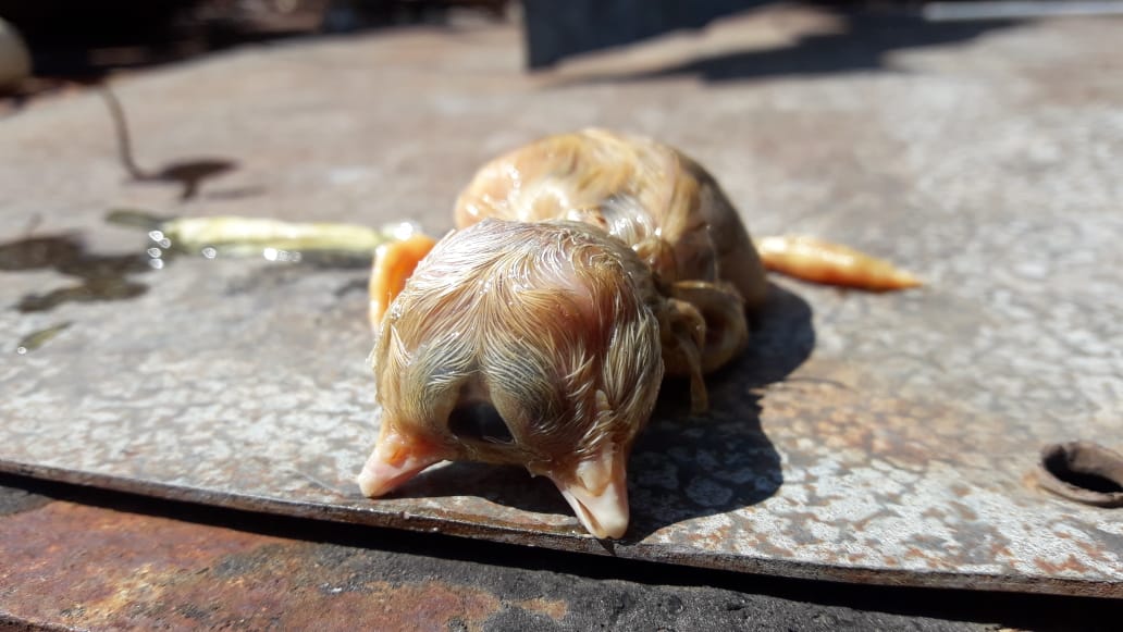 71f2e1fe-9896-4ac1-9abf-185e00a7cf9a