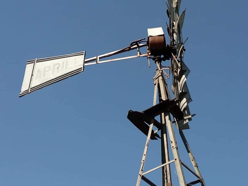 PRODUCTORES AGRICULTURA FAMILIAR 10