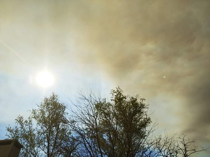 FB_IMG_1568744612537